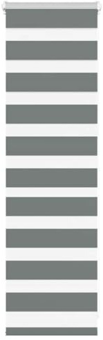 vidaXL Zebrarollo Dunkelgrau 45x100 cm Stoffbreite 40,9 cm Polyester, Zebra-Rollo, Doppelrollo, Zebra-Jalousie für Fenster, Doppelrollo, Zebra-Rollo