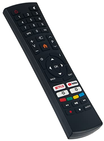 AIDITIYMI Replace Remote Control Compatible with SANSUI CAIXUN Smart TV EC32S2N ES32S1N S32P28N S40P28FN S43P28F S43P28FN S55A6U with Net-Flix You-Tube APP Key Button