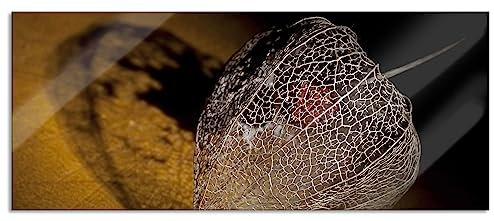 Pixxprint Glasbild Panorama, Wandbild aus Echtglas, Schatten einer Physalis, 120x50 cm, inkl. Aufhängung und Abstandshalter
