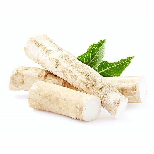 10 pz semi biologici freschi di rafano - piante da orto piante giovani piante resistenti in vaso,Armoracia rusticana, piantatrici di semi di ortaggi piante da ufficio erba letto decorazione