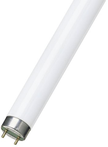 5x 1,20m 36w Triphosphor Leuchtstoffröhren 865 Tageslicht (Osram L36865)