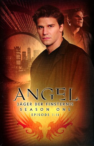 Angel - Jäger der Finsternis: Season 1.1 Collection (Episoden 1-11) [VHS]