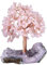 KYEYGWO Rosenquarz Reiki Heilung Kristallbaum auf Natürlichen Amethyst Drusensegment Rohstück Base, Stein Geldbaum Feng Shui Bonsai Baum Figuren Ornament Haus Deko für Glück, Reichtum