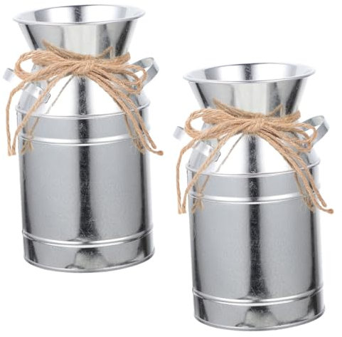 HOMSFOU Tischdekoration 2st Blecheimer Hochzeitsdeko Eisen Büro Requisiten Getrocknete Blumen