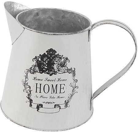 Warmhm 1pc Rustic Succulent Watering Can for Outdoor Plants Cream Pitcher Vase Country Flower Pot Chic Flowers Can Farmhouse Flower Bucket Metal Planter Pot Big Vase Flower Arrangement