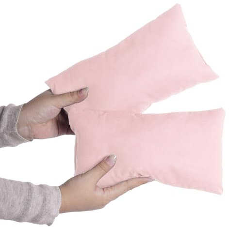 Marrywindix Lot de 2 petits oreillers décoratifs de 24,1 x 14 cm, oreillers de voyage doux pour animal domestique, pour camping, voyage, lit, canapé, soutien du cou, du genou et du poignet (rose)