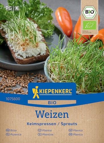 Kiepenkerl BIO Keimsprossen-Saat Weizensamen 1075600, Growbox-fähig | Anzucht-Set für Weizengrassamen, ideal für Indoor-Gewächshaus, Bio-Qualität, Einfache Anzucht, Bio, Schnelle ernte