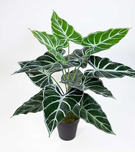Seidenblumen Roß Black Taro Pflanze Real Touch 50cm im Topf ZJ Kunstpflanzen künstlice Pflanzen Schwarze Colocasia