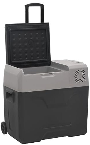 GuyAna Nevera con Ruedas y Adaptador Polipropileno Negro y Gris 40 L Nevera PequeñA Portatil Hielo Nevera Portatil