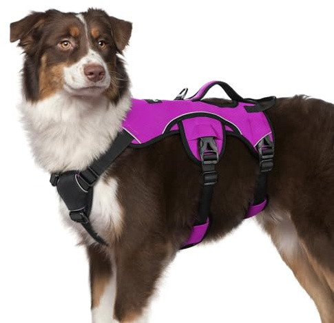 rabbitgoo Escape-Proof Dog Harness Medium with Large Handle, Anti-Pull Reflective Working Service Pets Vest, Breathable Pets Vest 3 Points, Adjustable Lift Support Body Harness Outdoor, M, Purple