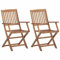 Iiaky Klappbare Gartenstühle 2 STK. Massivholz Akazie Balkon Sessel Balkon MöBel Set Outdoor BalkonstüHle GartenstüHle Gartenstuhl Set Lounge-Sessel 313601