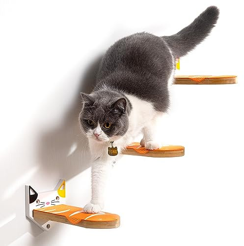 Yangbaga Kletterwand für Katzen, Katzentreppe 3er Set, Steps 24.5x9.7 cm in Bunte Catwalk Katzen Wand Katzenleiter (Bunte-Katzen)