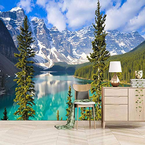 Papier Peint 350x256cm Lac De Montagne De Neige Poster Geant Mural Photo Sticker Non-Tissé Salon Chambre Décoration Murs