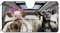 BAGEYOU Parasol para parabrisas delantero de coche, diseño de vaca lechera, decoración de pareja, parasol para vehículo, reflector de rayos UV, mantiene el vehículo fresco, 55 x 30 pulgadas