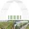 LINSOCLE Archi per Serra Orto, Archi per Tunnel Orto, Archi-Giardino, Rimovibile Cerchi Serre, Robusto, Flessibile, Stabile, Durevole per Orto, Giardino e Cortili
