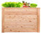WESTMANN Hochbeet aus Lärchenholz | 100x65x66 cm Natur | Kräuterbeet für den Außenbereich | Holzhochbeet zum Bepflanzen von Gemüse & Kräutern | FSC® - Zertifiziert
