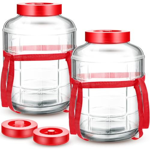Havawish 2 Pcs Wide Mouth Glass Carboy Fermentor 5 Gallon Glass Jar with Airlock Lid Carrying Harness Fermentation Container Glass Jug for Wine Making