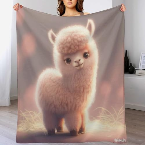 AAPZY Decke Flauschige Sofa Decke, Alpaka Super Weich & Flannel Fleecedecke Als Tagesdecke, Sofaüberwurf, Wohndecke （150×200cm）