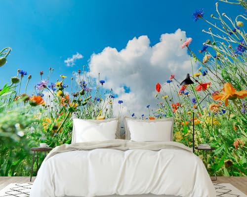 PaxGloz Fototapete Blumenwiese Himmel Tapete Bunte Wildblumen Landschaft Tapeten Vliestapete Modern Wandtapete Wohnzimmer Schlafzimmer Kinderzimmer Wanddeko Motivtapeten 300 x 210 cm (B x H)