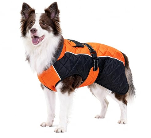 BECROWM Dog Coat Dogs Winter Coat Fleece Lined,Water-Resistant,Convertible Collar,Back Reflective Strip&Easy to Wear for Outdoor Walking Dog-Jacket(Orange, Medium)