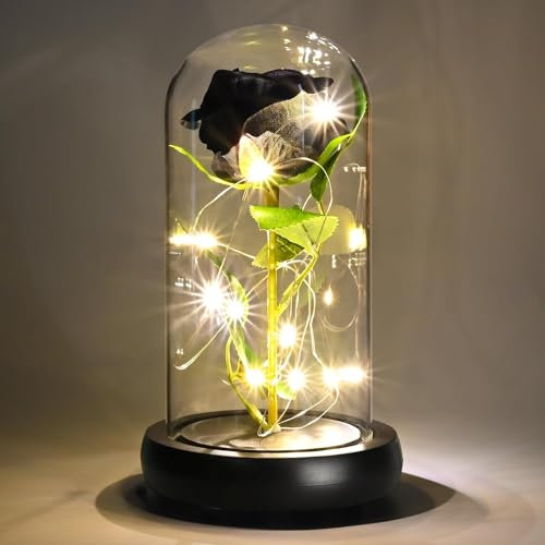 QUELIEN Beauty and Beast Rose，Galaxy Flower Rose Gift for Girlfriend，Glass Flower Roses，Unique Gifts for Women, Christmas, Birthday，Thanksgiving,Valentine's Day,Anniversary (black)