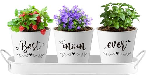 Skybooly 1 Set Indoor Herb Garden Planter Include 1 Tray and 3 Metal Herbs Pots with Drainage for Succulent Indoor Home Outdoor Garden Kitchen Windowsill Housewarming Gift (Mom,1 Set)