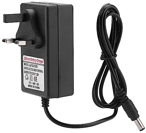 21V 2A AC/DC Power Supply Adapter, Lithium Battery Charger Wall Charger with Overcurrent Overvoltage Protection for Power Tools, DIY Electronics