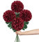 Briful Künstliche Chrysanthemen für den Herbst, 15,2 cm, große Köpfe, Mutterstiele, Burgunderrot, künstliche Hortensien, Blumenstrauß für Zuhause, Garten, Party, Hochzeit, Dekoration, 4 Stück