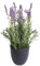 Botanic-Haus künstlicher Lavendel (künstliche Kräuter Dekoration) im schwarzen Kunststofftopf