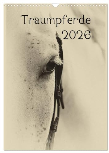 Traumpferde 2026 (Wandkalender 2026 DIN A3 hoch), CALVENDO Monatskalender: Pferdekalender stilistisch bearbeitet (CALVENDO Tiere)