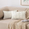 MIULEE 2er Set Kissenbezug Zierkissen Wolle Kissenbezüge Samt Fellkissen kissenhülle kuschelkissen Boho Deko Kissen Flauschig Sofakissen Dekokissen für Sofa Schlafzimmer 40x60 cm Milchweiß