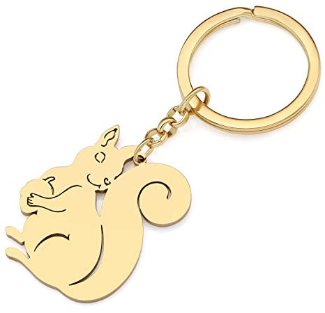 RAIDIN Edelstahl Gold Plattiert Süße Schlüsselanhänger Eichhörnchen Geschenke für Damen Mädchen Schlüsselring für Auto Geldbeutel Schlüssel Zubehör (Gold-164)