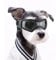 NAMSAN Augenschutz für Hunde, Sonnenbrille, einfach anzubringen, stylisch, für kleine/mittelgroße Hunde