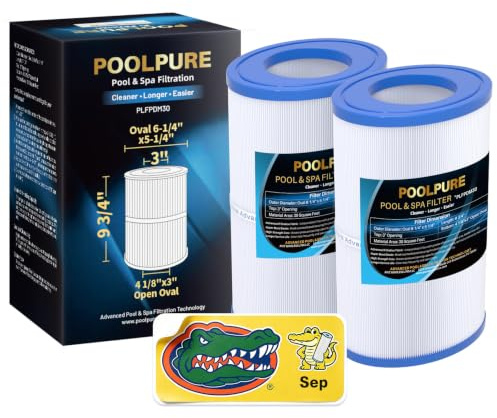 POOLPURE Ovaler Filter für Spa PDM30, kompatibel mit Dream Maker Whirlpools 461269, 30 m² Whirlpool-Filterkartusche, 2 Stück