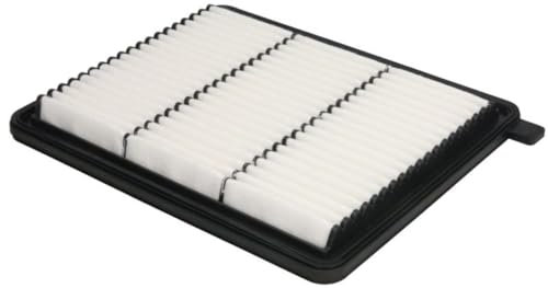 MANN-FILTER C 25 051 Filtro aria motore Cartuccia filtro