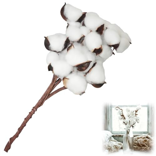 Flewdart 10pcs steli fiori di cotone veri essiccati, Bouquet Artificiale di fiori cotone secchi naturali per Decorazioni Vasi e Casa di matrimonio