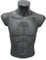 fella4stores Basic Herrentorso 44/46, vollgeformt & bruchsicher, Modepuppe, Schaufensterfigur & Mannequin aus PE Kunststoff, selbststehend, ideal für Kleiderpräsentation & Dekoration, Grau