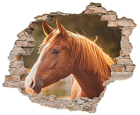 Little Deco 3D Wandsticker Wandtattoo Kinderzimmer Pferd Wanddeko Spielzimmer Wandbild Loch in der Wand Schlafzimmer Wandaufkleber Mädchen Kleinkind DL639-2