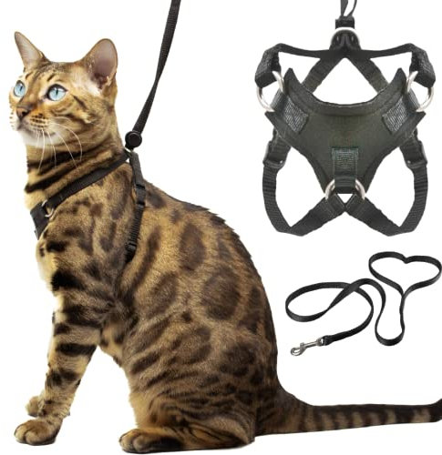 Houdini™ Großes Katzengeschirr und Leine, ausbruchsicher, von OutdoorBengal zum Spazierengehen mit großen Katzen, Größe L