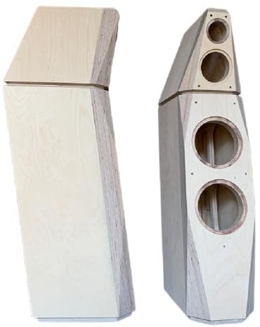 Craftsmen Customized One Pair 10 Inch Three-Way Speaker Birch Plywood Labyrinth Structure Empty Cabinet Box DIY HiFi ISIS Acoustic Shell (Wooden)