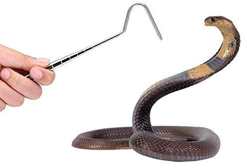 HEEPDD Schlangenhaken, erweiterbarer Edelstahl Schlangen fänger Fanghaken für Reptilienfang beim Steuern von sich bewegenden Schlangen