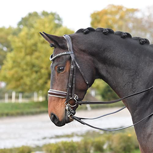 Busse
