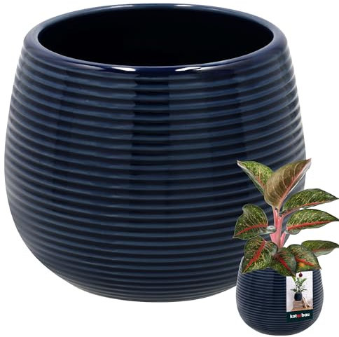 KOTARBAU® Pot De Fleurs Rond Bleu Cobalt ⌀ 12 Cm Céramique Émaillée Cache-Fleur Éco-Responsable Unique Intérieur