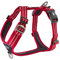 DOG Copenhagen Hundegeschirr - Comfort Walk Air Version 2 - Brustgeschirre für Hunde, Classic Red, M