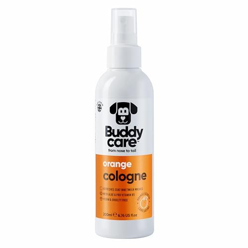 Buddycare Hundeparfüm - Orange - Fruchtiger und kühner Duft - Erfrischt zwischen den Hundewäschen - Mit Aloe Vera und Pro-Vitamin B5 (200 ml, 1 Stück)