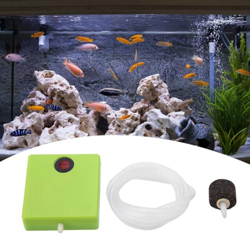 FiTspi Pompe à air pour aquarium, fonctionne avec piles, pompe à air sec avec pierre à air et tube, parfaite pour les écumeurs de protéines et les réacteurs à oxygène, idéale pour les aquariums de 80