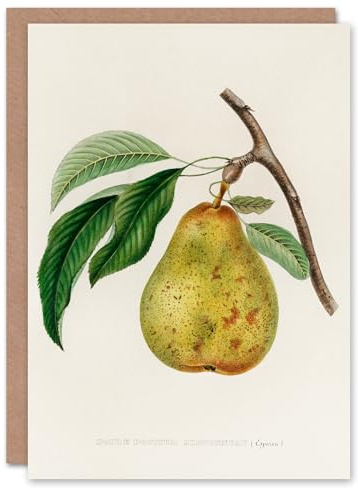Artery8 Jacob Sturm Art Card Vintage Illustration of a Pear