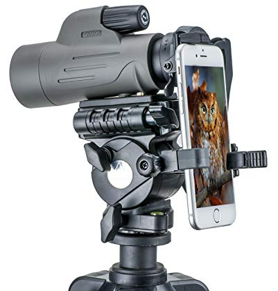 Carson adaptateur digiscopie MonoPix avec monoculaire 8x42 mm, gris (MP-842IS)