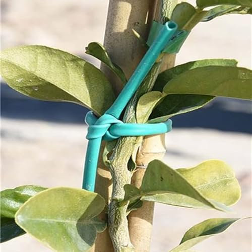Suinga MACARRÓN PVC Verde 145 Metros. Tiene una excelente Elasticidad, indicado para el Atado al Tutor de Plantas Tales como Vid, Olivo y frutales