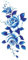 5 Bilder Rosen Tattoo - Motiv In Blau - Temporary Haut Tattoo